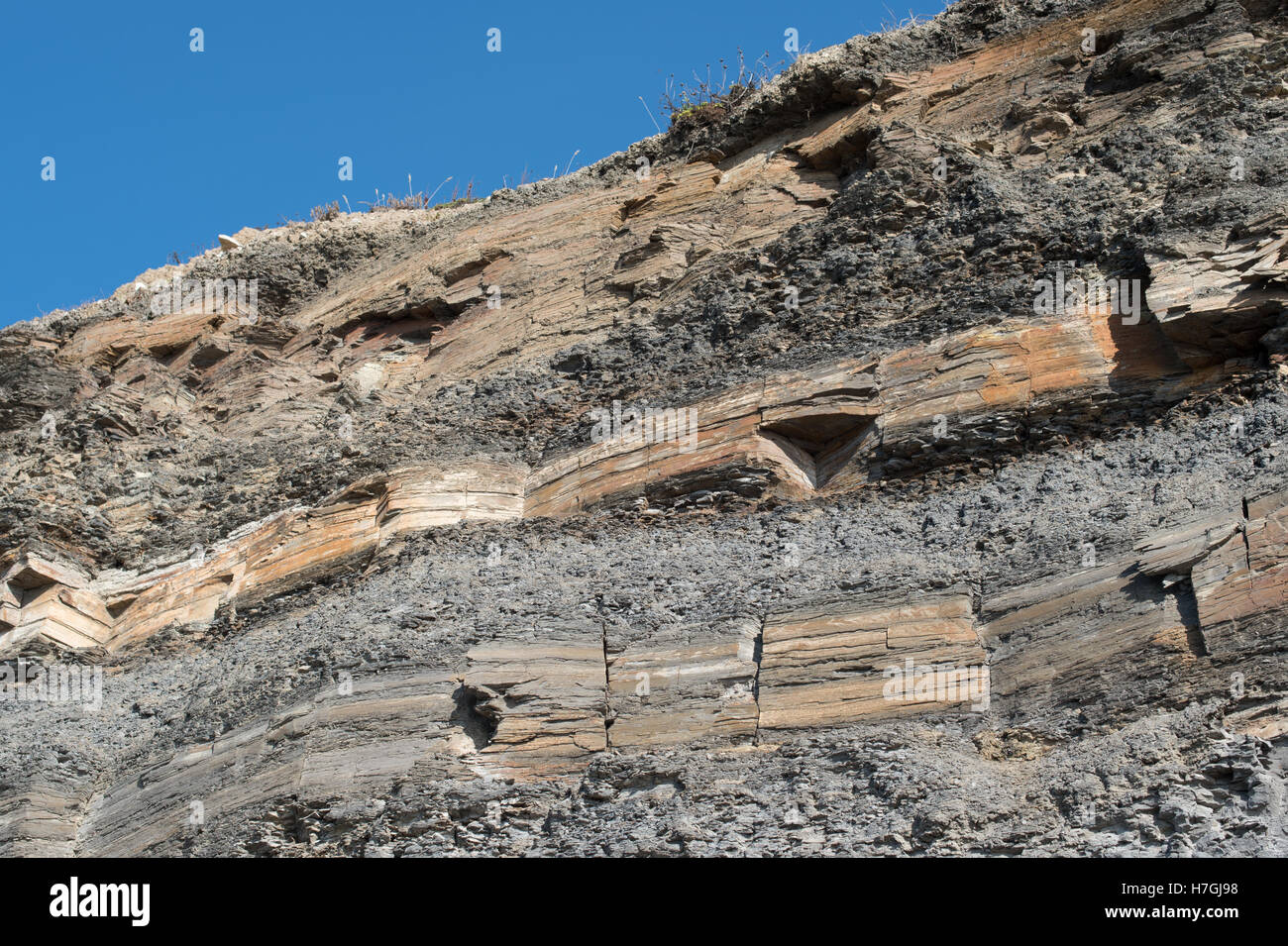 Kalksteinen Betten, Kimmeridge Bay, Dorset Stockfoto