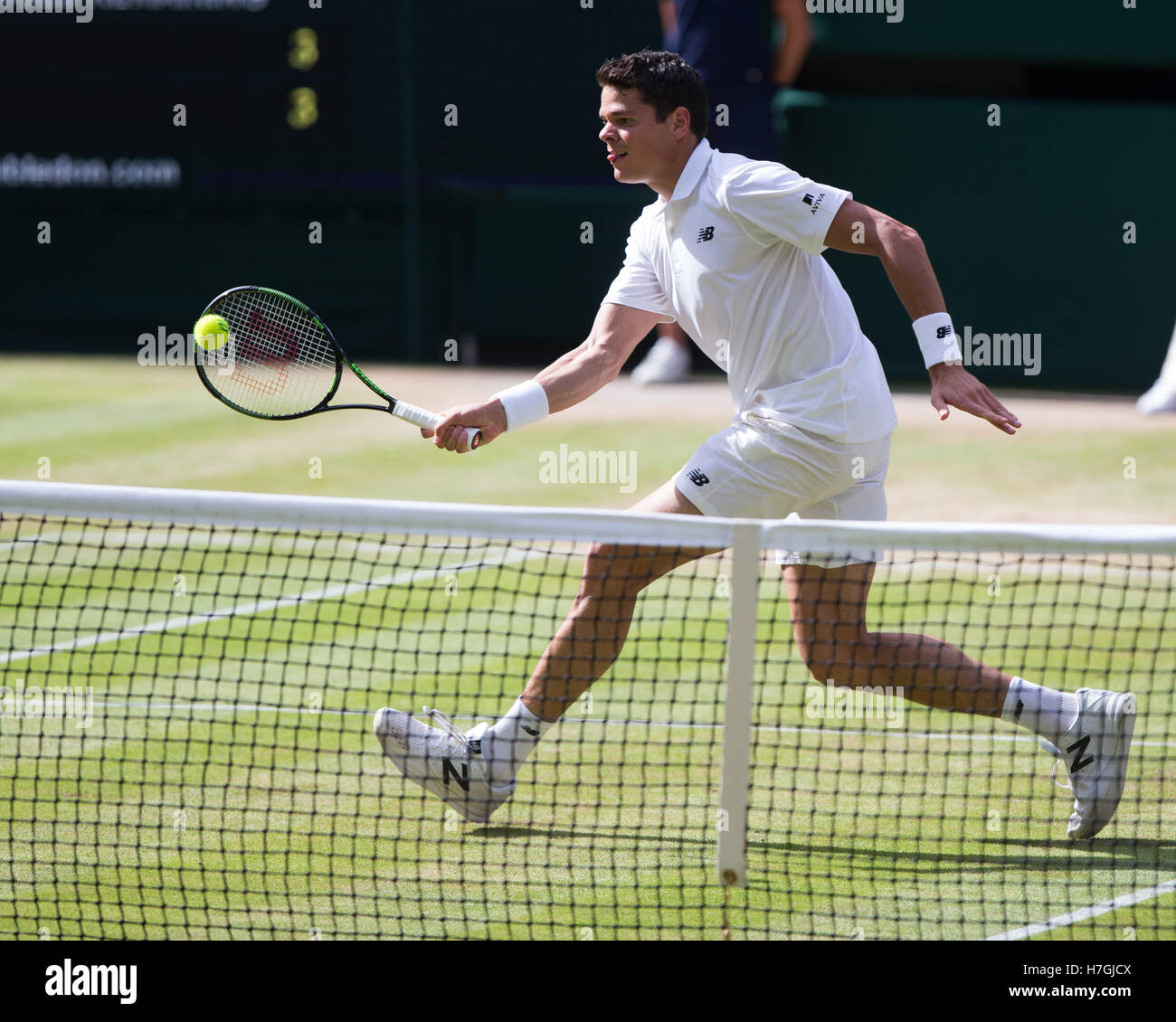 Milos Raonic (CAN) bei Wimbledon 2016 final in Aktion. Stockfoto