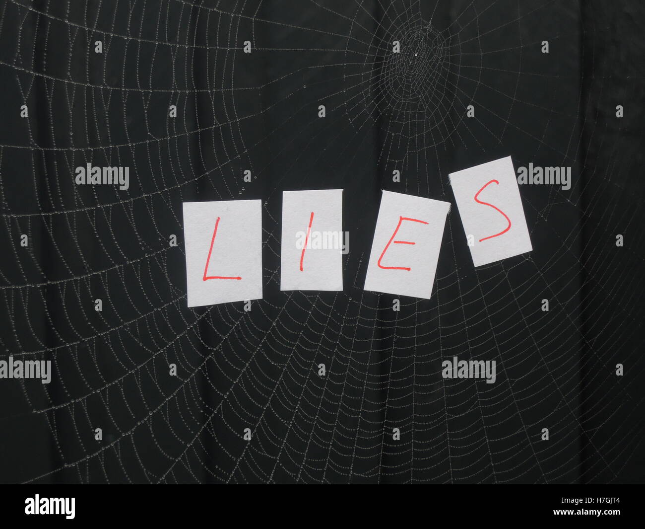 Gewirr von Lügen, illustriert durch den Text liegt"" im Netz der Spinne. Stockfoto