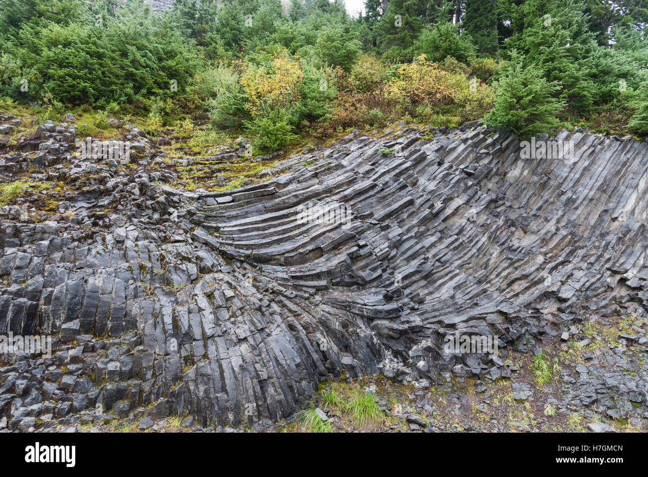 Säulenartigen Gelenke in vulkanischen Gesteinen. Mt Baker Wildheit Bereich. Washington, USA. Stockfoto