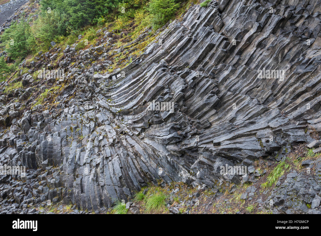 Säulenartigen Gelenke in vulkanischen Gesteinen. Mt Baker Wildheit Bereich. Washington, USA. Stockfoto