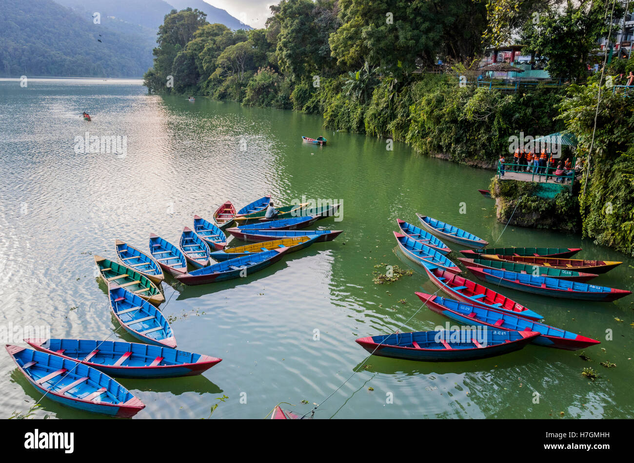 Menschen, die ein Boot rudern, während andere Ruderboote Kunden auf See Fewa Pokhara Kathmandu warten. Stockfoto