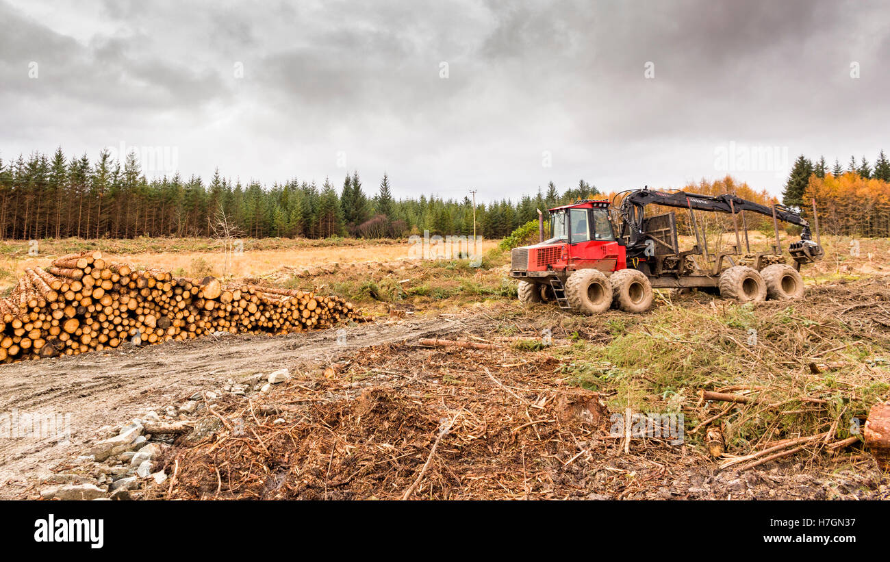 Der Kahlschlag Holzindustrie übersicht Holz/logs/Bäume, land- und forstwirtschaftliche Maschinen equipment Model Release: Nein Property Release: Nein. Stockfoto