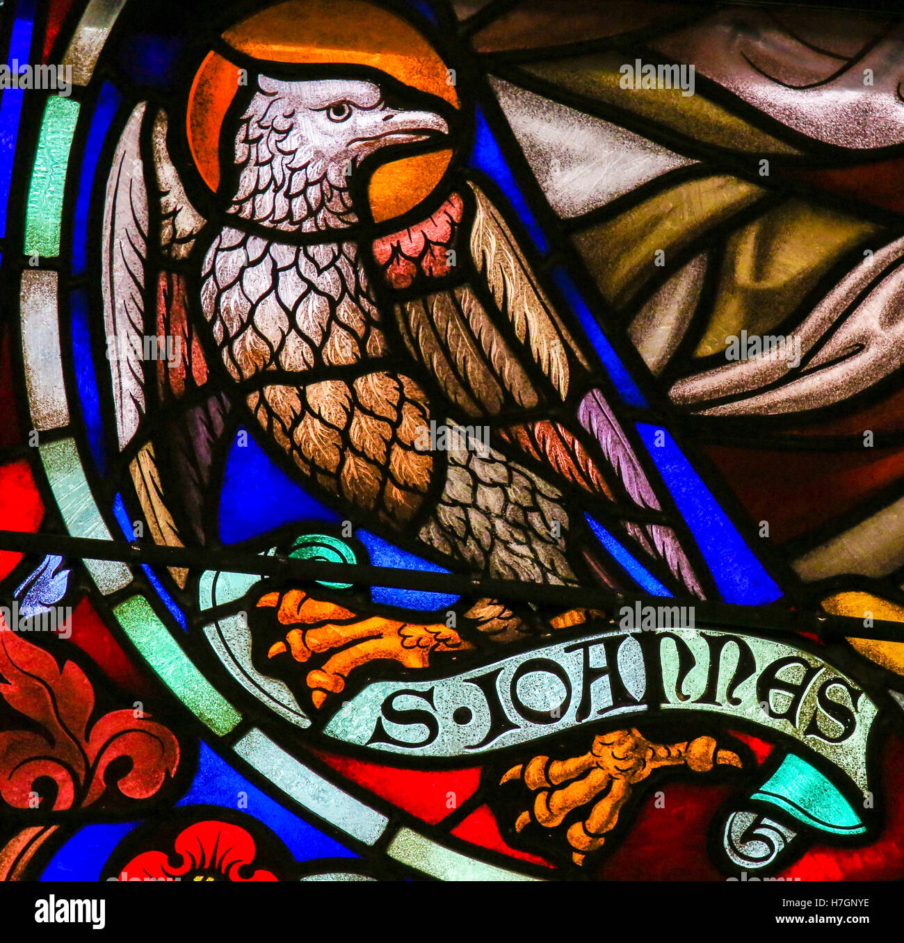 Buntglasfenster Darstellung des Adlers, Symbol des Heiligen Johannes der Evangelist, in der Kathedrale von Saint Rumbold in Mechelen, werden Stockfoto