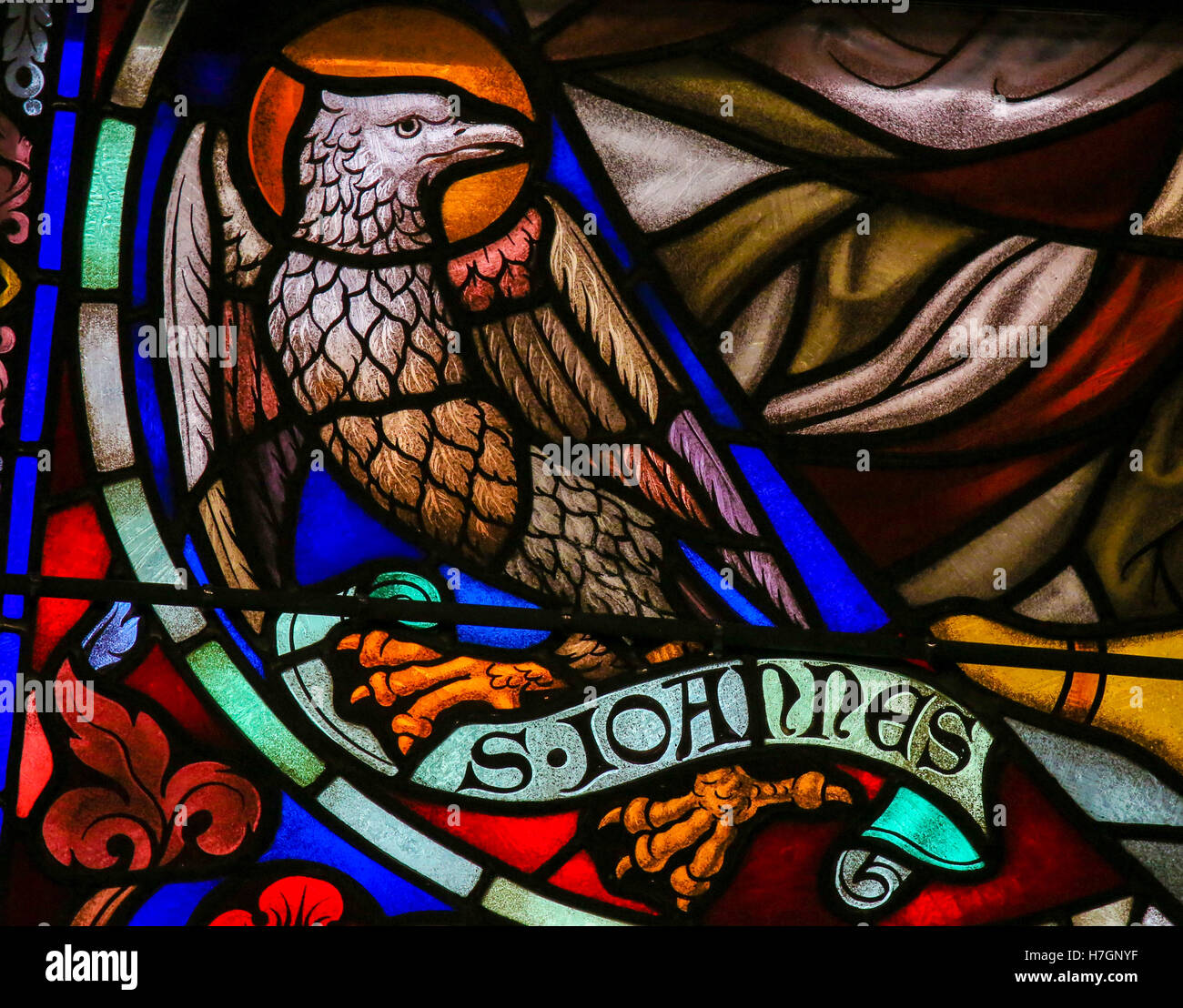 Buntglasfenster Darstellung des Adlers, Symbol des Heiligen Johannes der Evangelist, in der Kathedrale von Saint Rumbold in Mechelen, werden Stockfoto