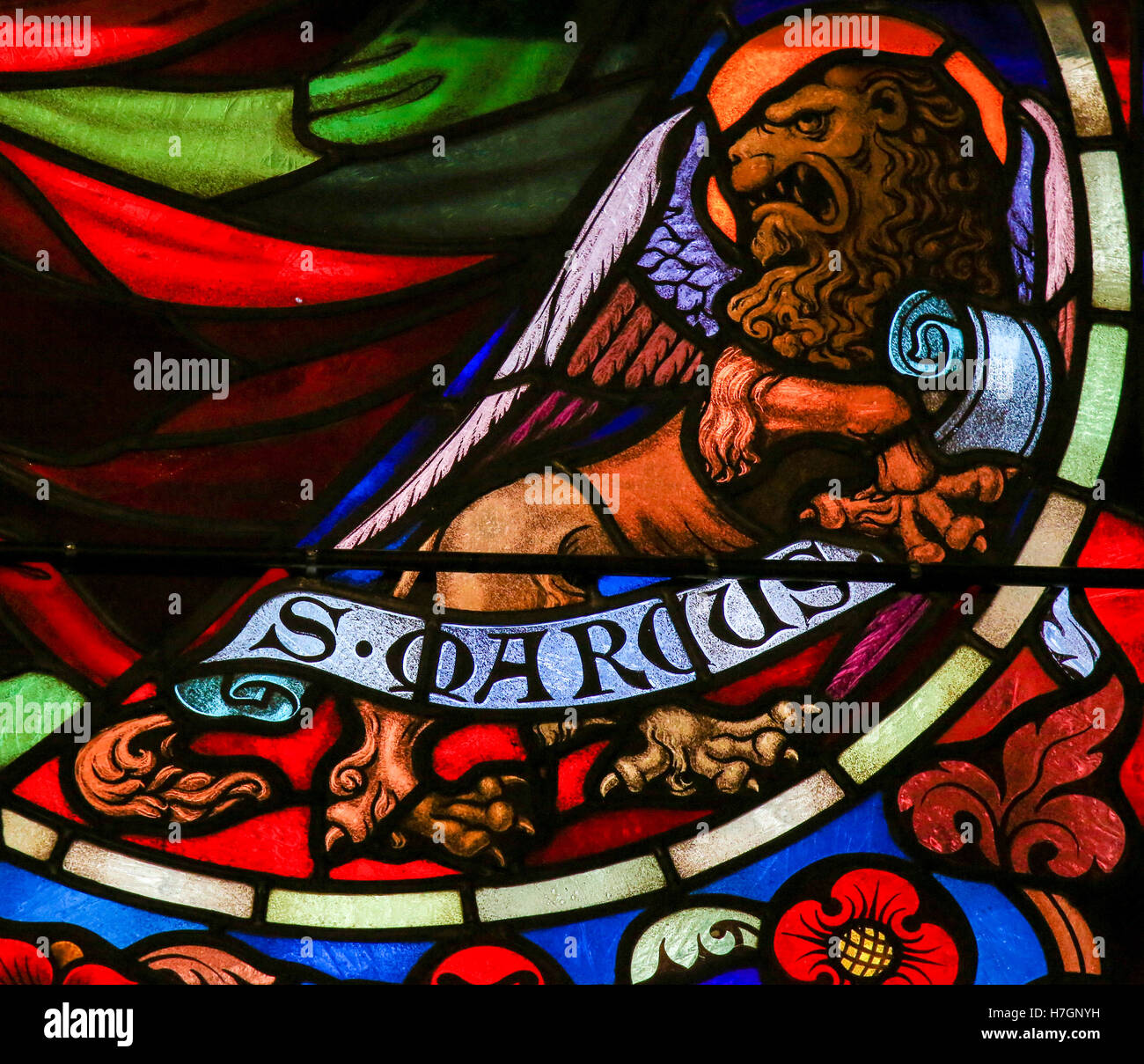 Glasmalerei-Fenster Darstellung eines Löwen, Symbol des Heiligen Markus der Evangelist in der Kathedrale von Saint Rumbold in Mechelen, Belgien Stockfoto