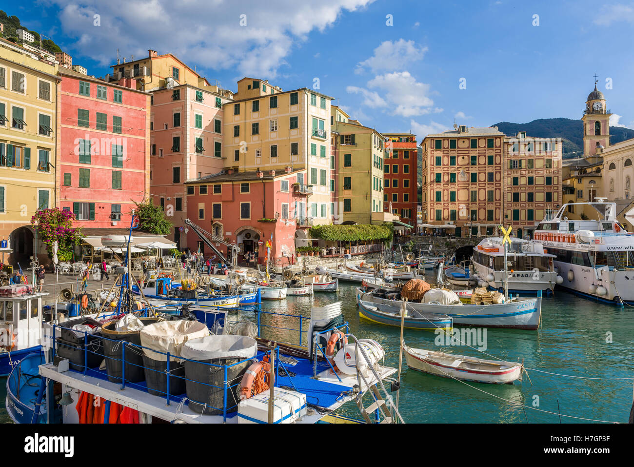 Der Hafen von Camogli mit seinen bunten Haus in der ligurischen riviera Stockfoto