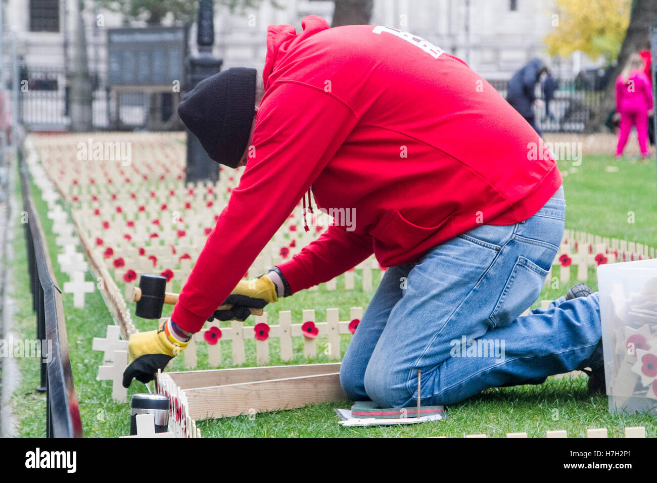 London, UK. 5. November 2016. British Legion freiwillige Anlage Erinnerung Kreuze mit Mohnblumen in der Westminster Abbey für Erinnerung Sonntag feiern zu erinnern, die Mitglieder der britischen und Commonwealth bewaffneten Kräfte, die in der Linie der Pflicht in früheren Konflikten Credit gestorben: Amer Ghazzal/Alamy Live-Nachrichten Stockfoto