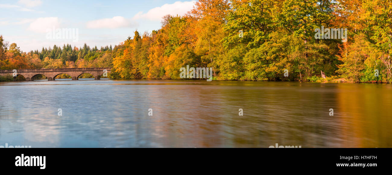 Einen herrlichen Blick auf einen See in Virginia Water in Surrey im Herbst Farben, Großbritannien Stockfoto