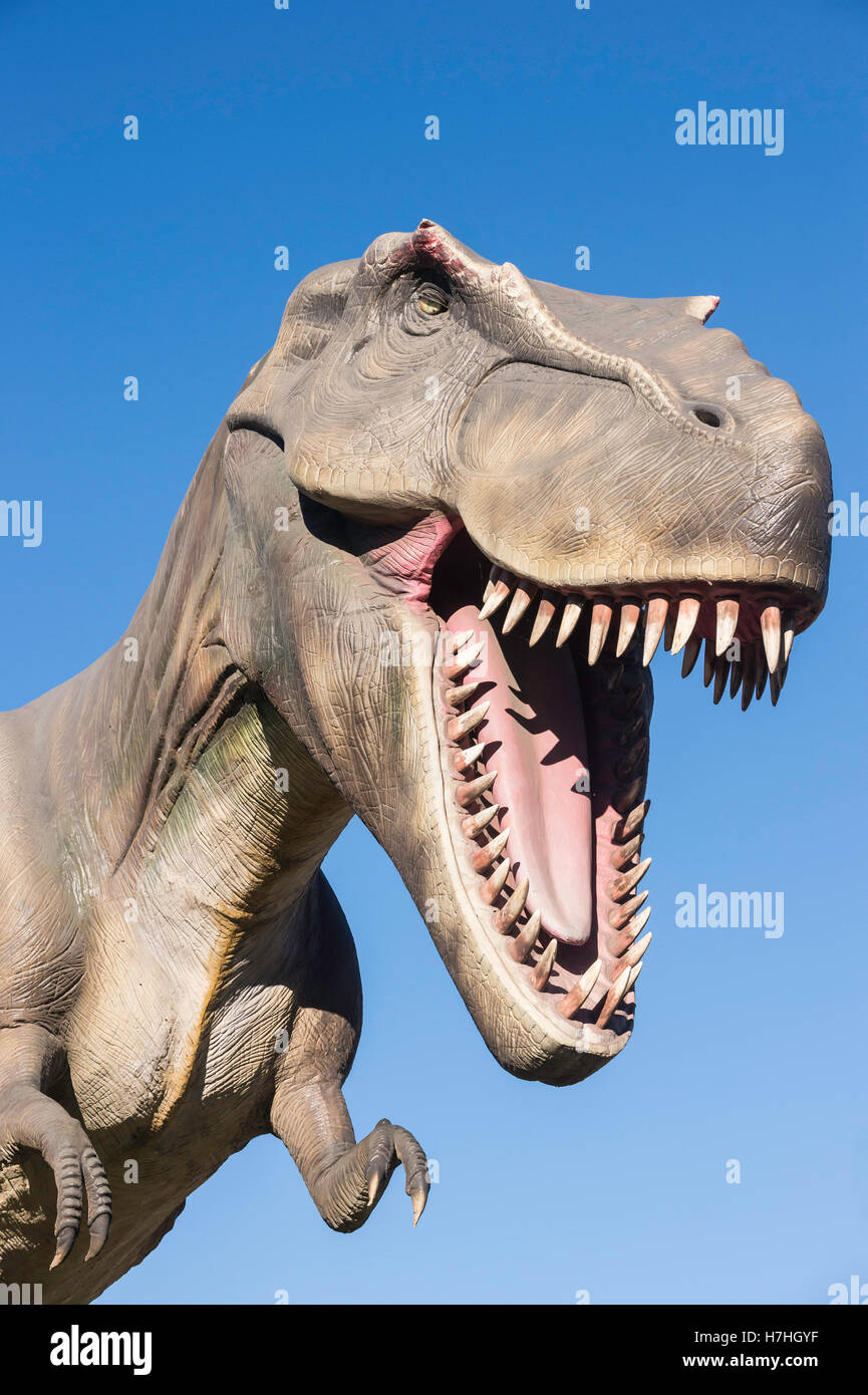 Tyrannosaurus Rex Modell/Statue, Calgary Zoo, Alberta, Kanada Stockfoto
