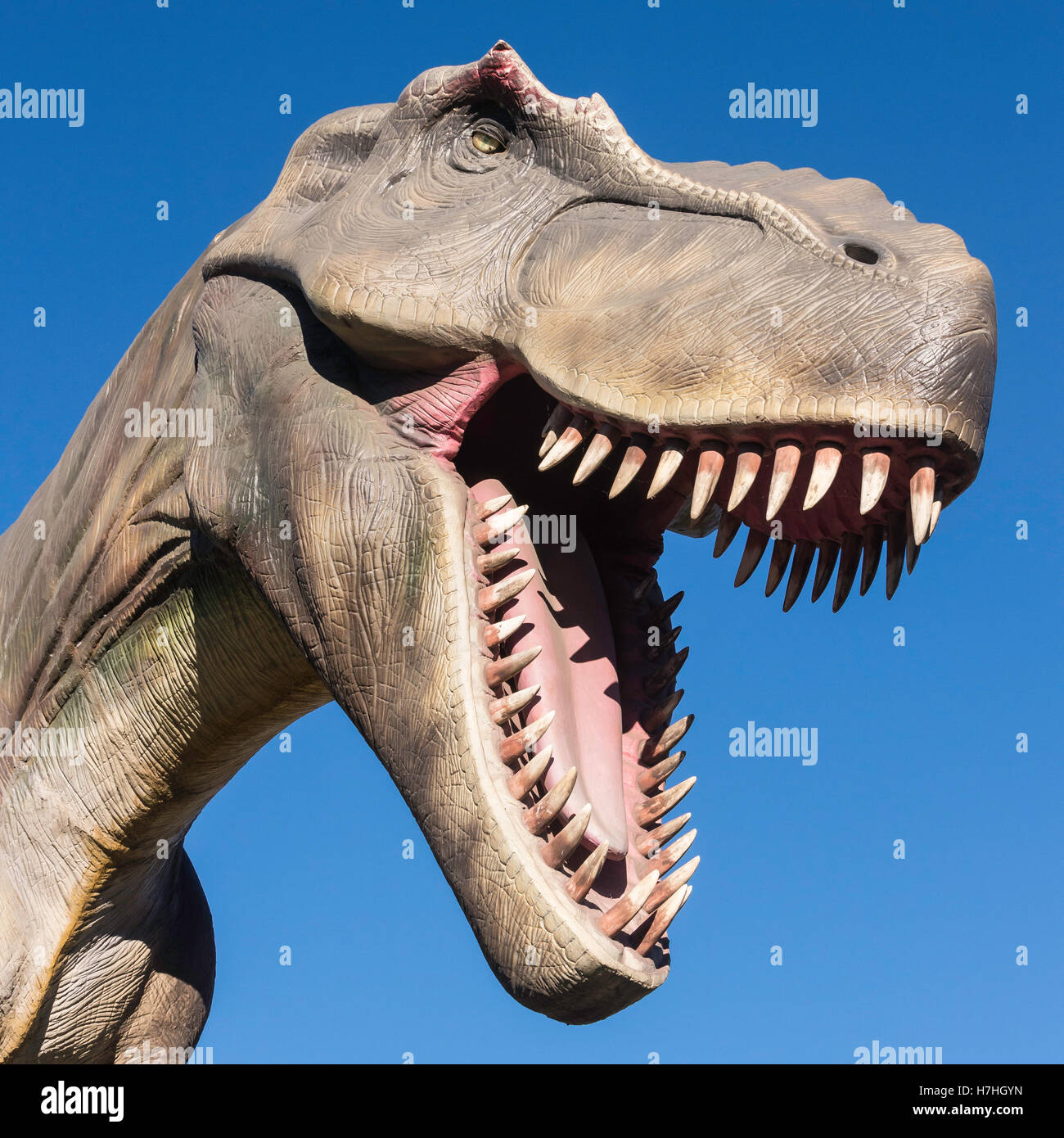 Tyrannosaurus Rex Modell/Statue, Calgary Zoo, Alberta, Kanada Stockfoto
