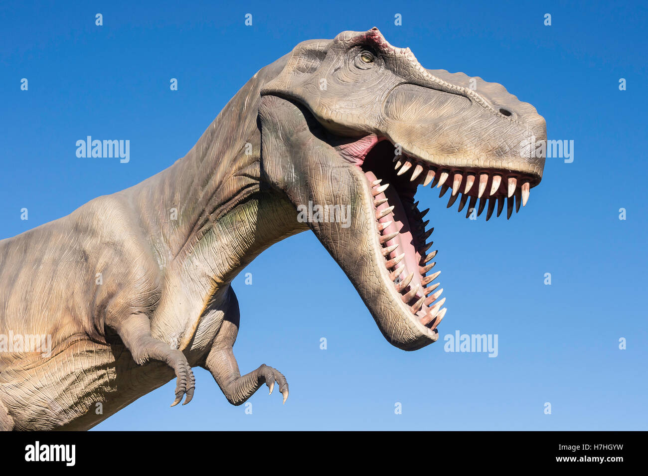 Tyrannosaurus Rex Modell/Statue, Calgary Zoo, Alberta, Kanada Stockfoto