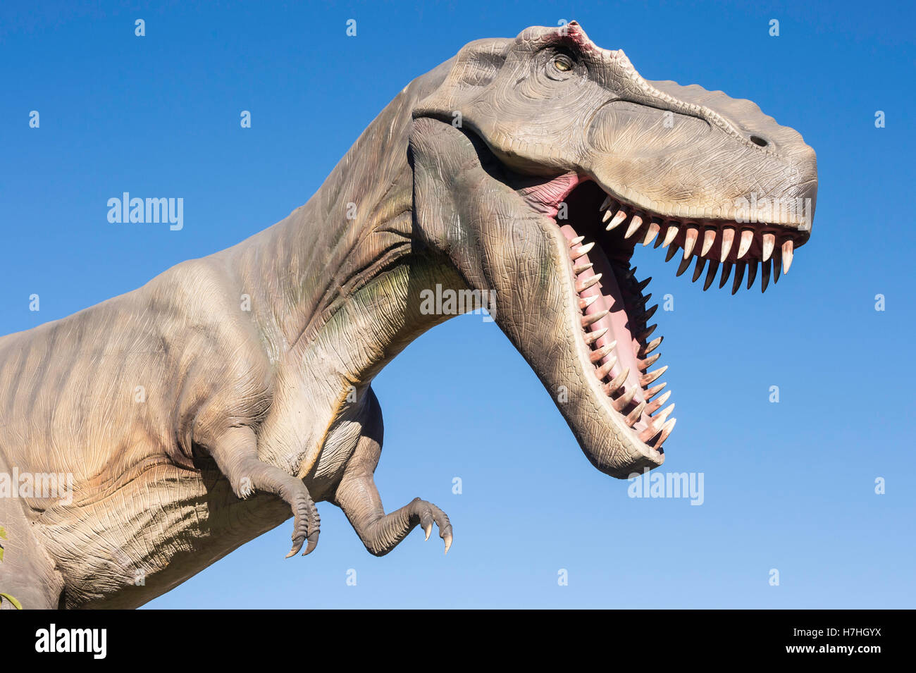 Tyrannosaurus Rex Modell/Statue, Calgary Zoo, Alberta, Kanada Stockfoto