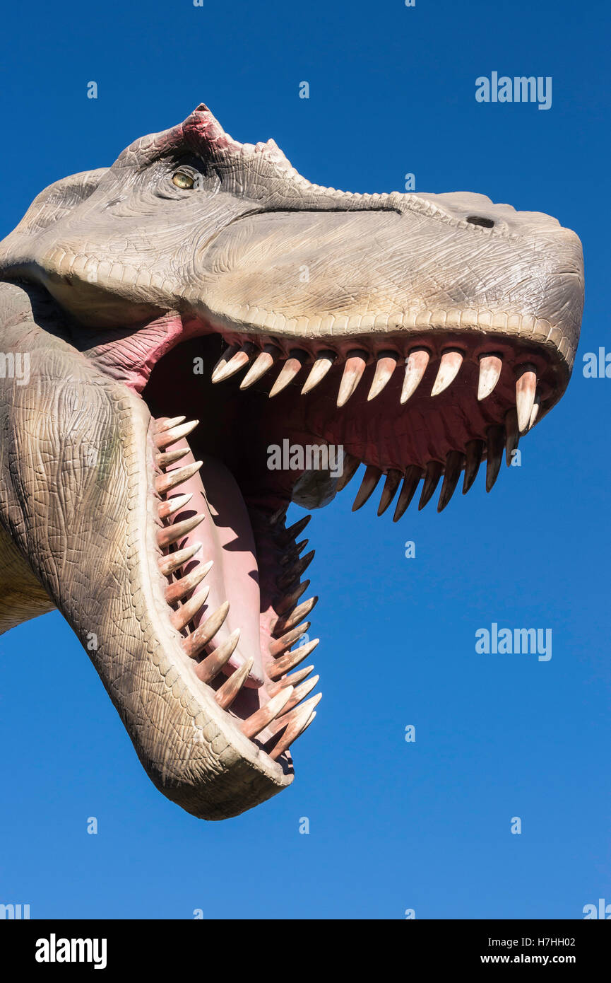 Tyrannosaurus Rex Modell/Statue, Calgary Zoo, Alberta, Kanada Stockfoto