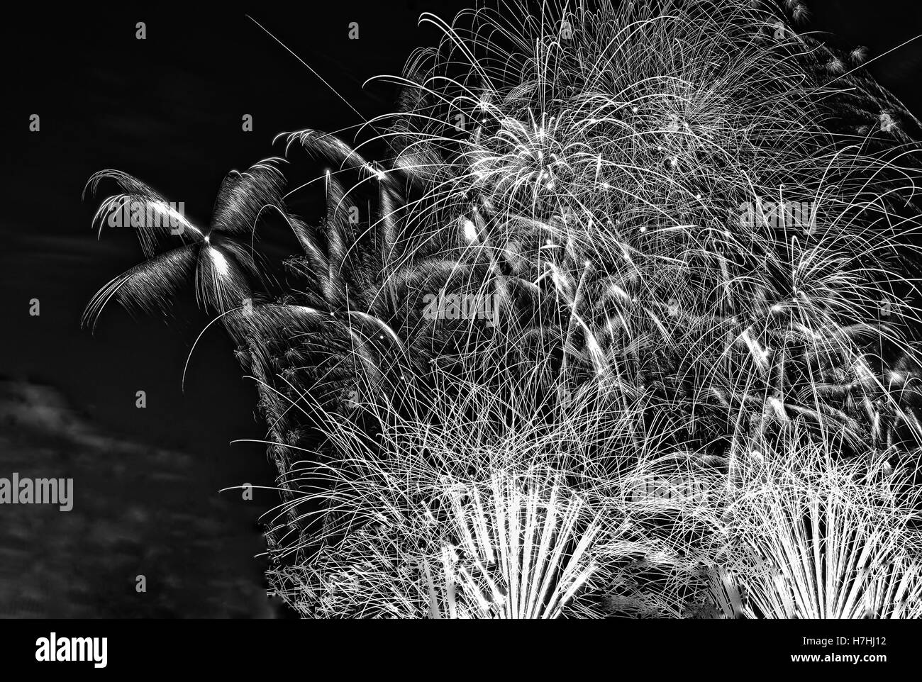 Nahaufnahme von schwarzen und weißen Feuerwerk am nächtlichen Himmel in der Nacht vom 31. Dezember zum 1. Januar. enge, horizontale view.i Stockfoto