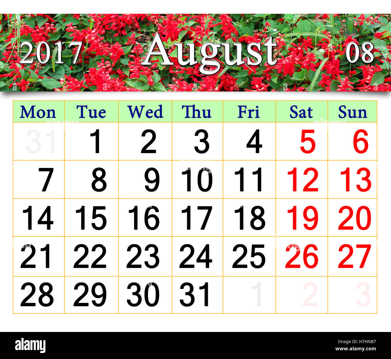 Kalender August 2017 mit Band rot salvia Stockfoto