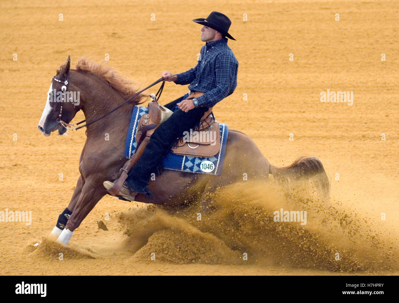 Reining, Shal Kaneti, Israel, auf Rüschen Heilmittel, Games World Equestrian 2006 in Aachen, Nordrhein-Westfalen Stockfoto