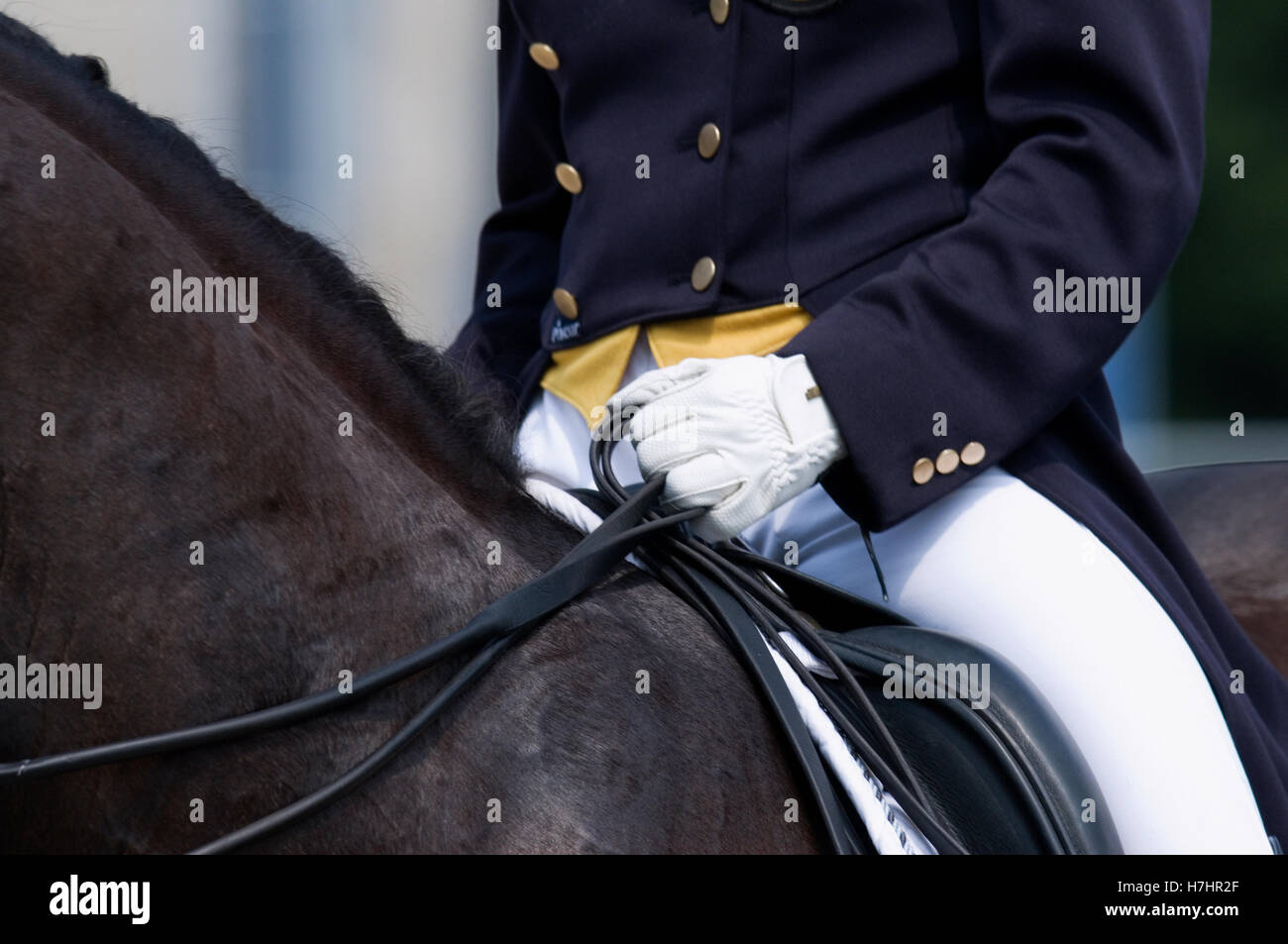 Detail, Dressurreiten Stockfoto