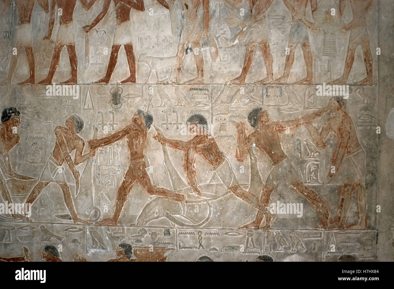 Ägypten. Sakkara. Mastaba des Ptahhotep und Akhethotep. 5. Dynastie. Altes Königreich. Ägyptische Wesire. Vater und Sohn. Polychrome Relief Darstellung Schlachten Ochsen. Stockfoto