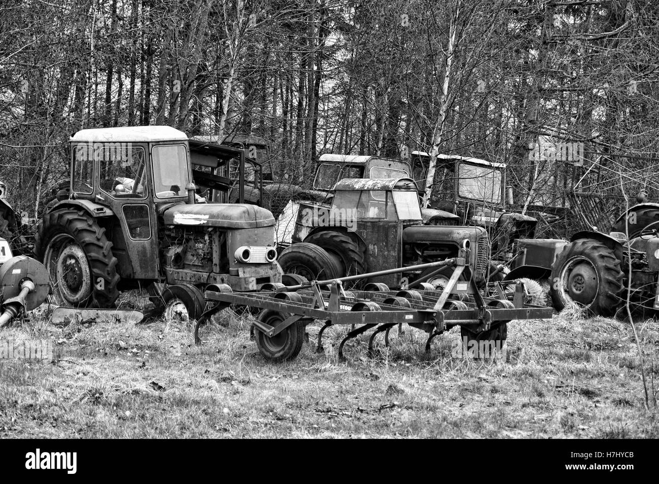 Alte Traktoren auf einem Schrottplatz in Jütland, Dänemark Stockfoto