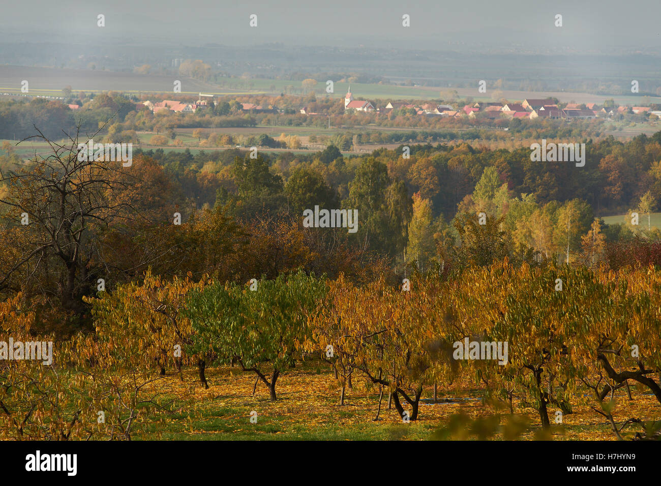 Bunten Herbstwald und Felder am Mount Sleza Fuß niedriger Schlesien Polen Stockfoto