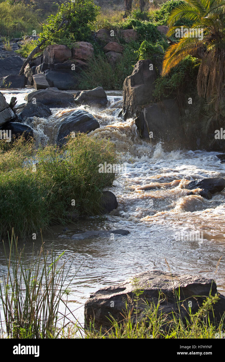 Ewaso Narok Fluss fließt durch Laikipia Plateau Grasland Kenia Stockfoto