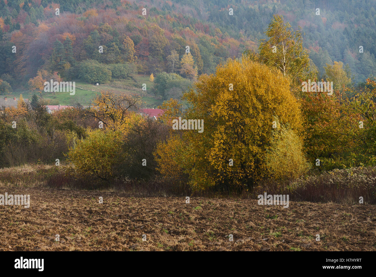 Bunten Herbstwald und gepflügten Felder am Mount Sleza Fuß niedriger Schlesien Polen Stockfoto