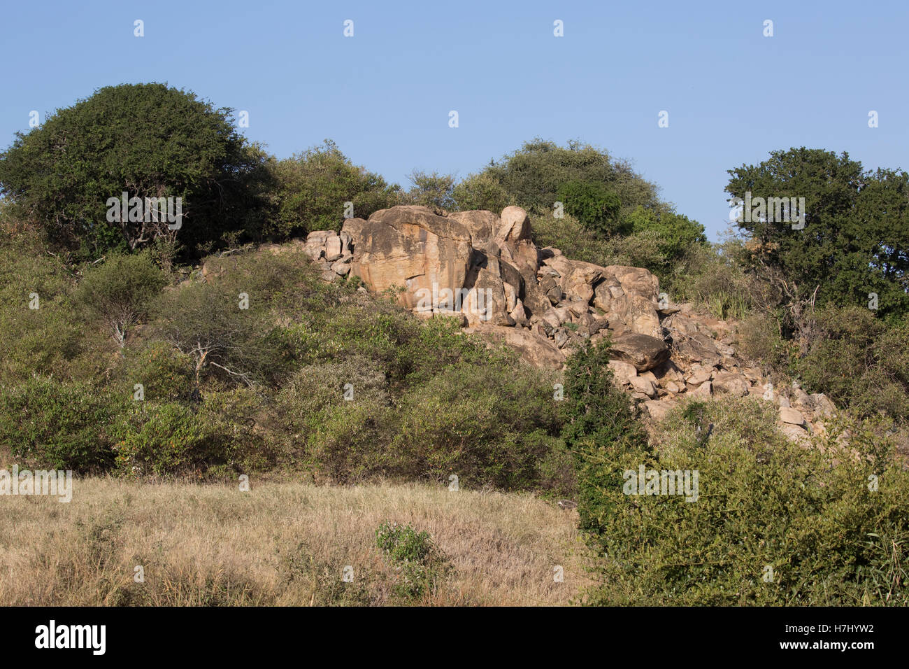 Granit felsigen Steilhang oder Kopje Trockengebiete Laikipia Plateau Nanyuki Kenia Stockfoto