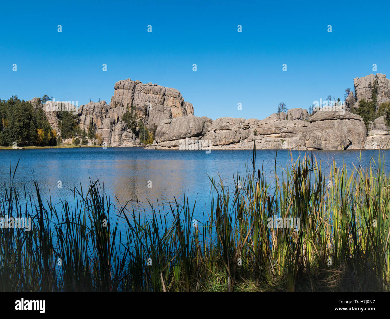 Catttails und Felsformationen, Sylvan Lake, Needles Highway, Custer State Park, South Dakota. Stockfoto