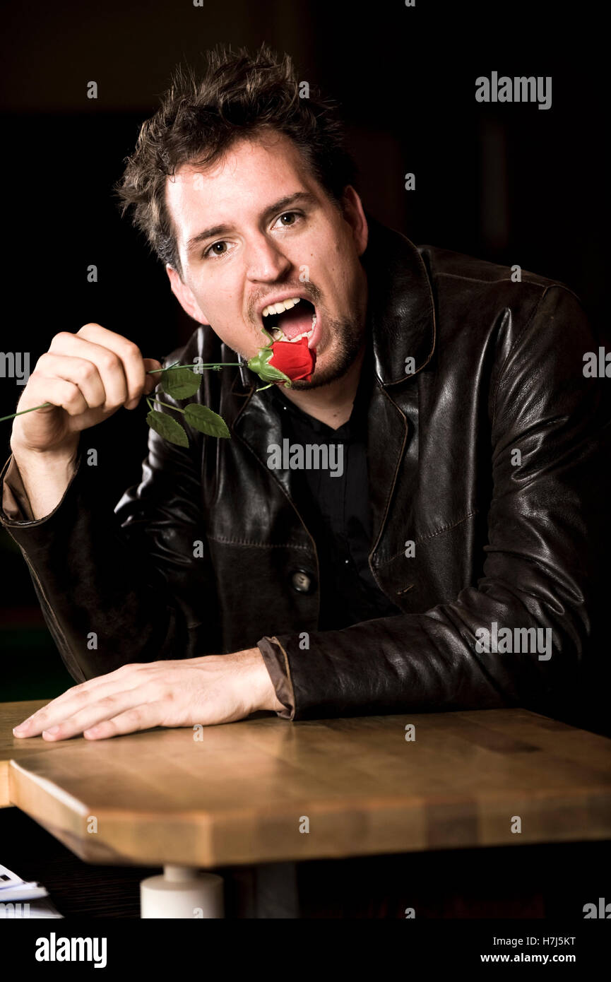 Mann beisst in eine rote rose Stockfoto