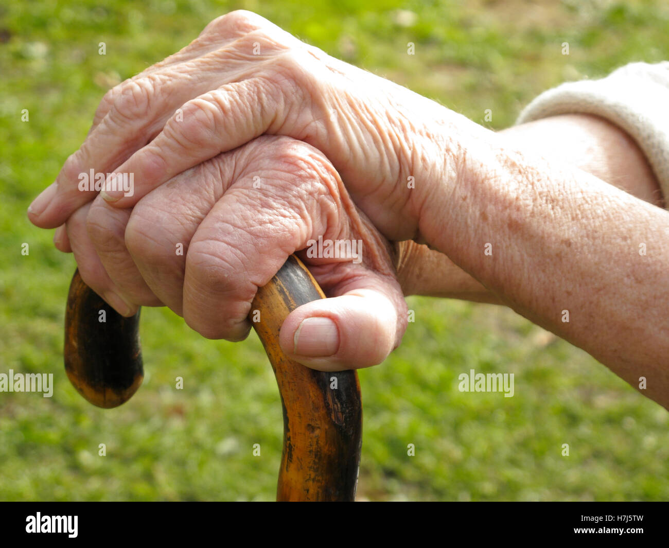 Hände einer alten Frau auf einen Spazierstock Stockfoto