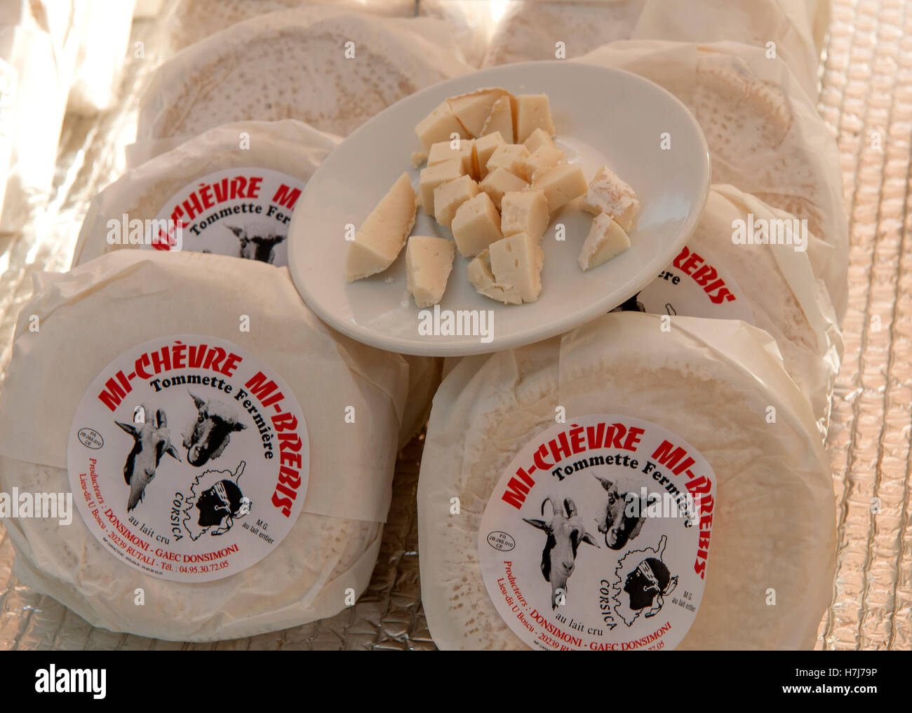 Verkostung von korsischen Käse aus Schafs- und angeboten auf dem Markt von Bastia, Haute-Corse, Frankreich Stockfoto