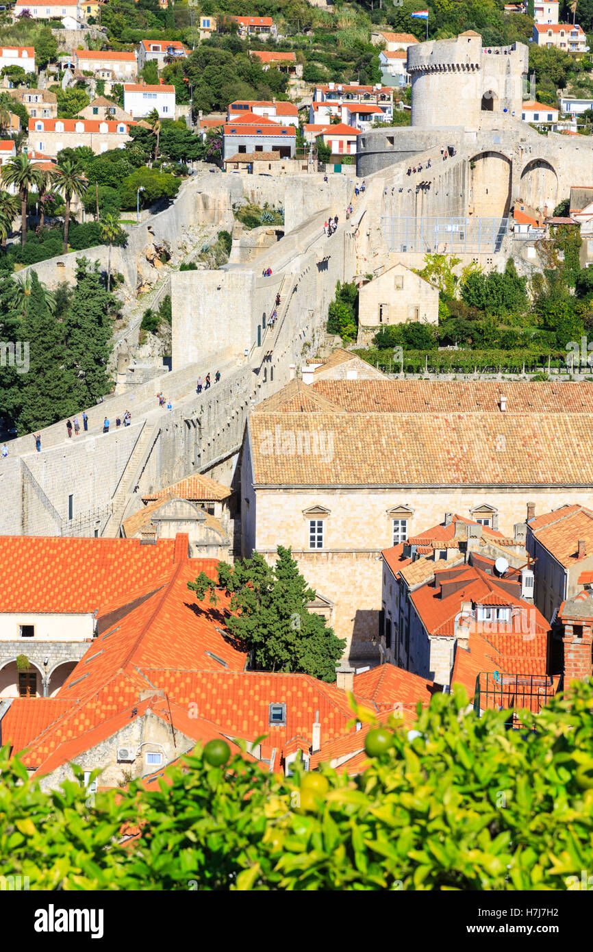 Dubrovnik Stadtmauer und Minčeta Tower, defensive Struktur zum Schutz der historischen Altstadt, Dubrovnik, Kroatien Stockfoto