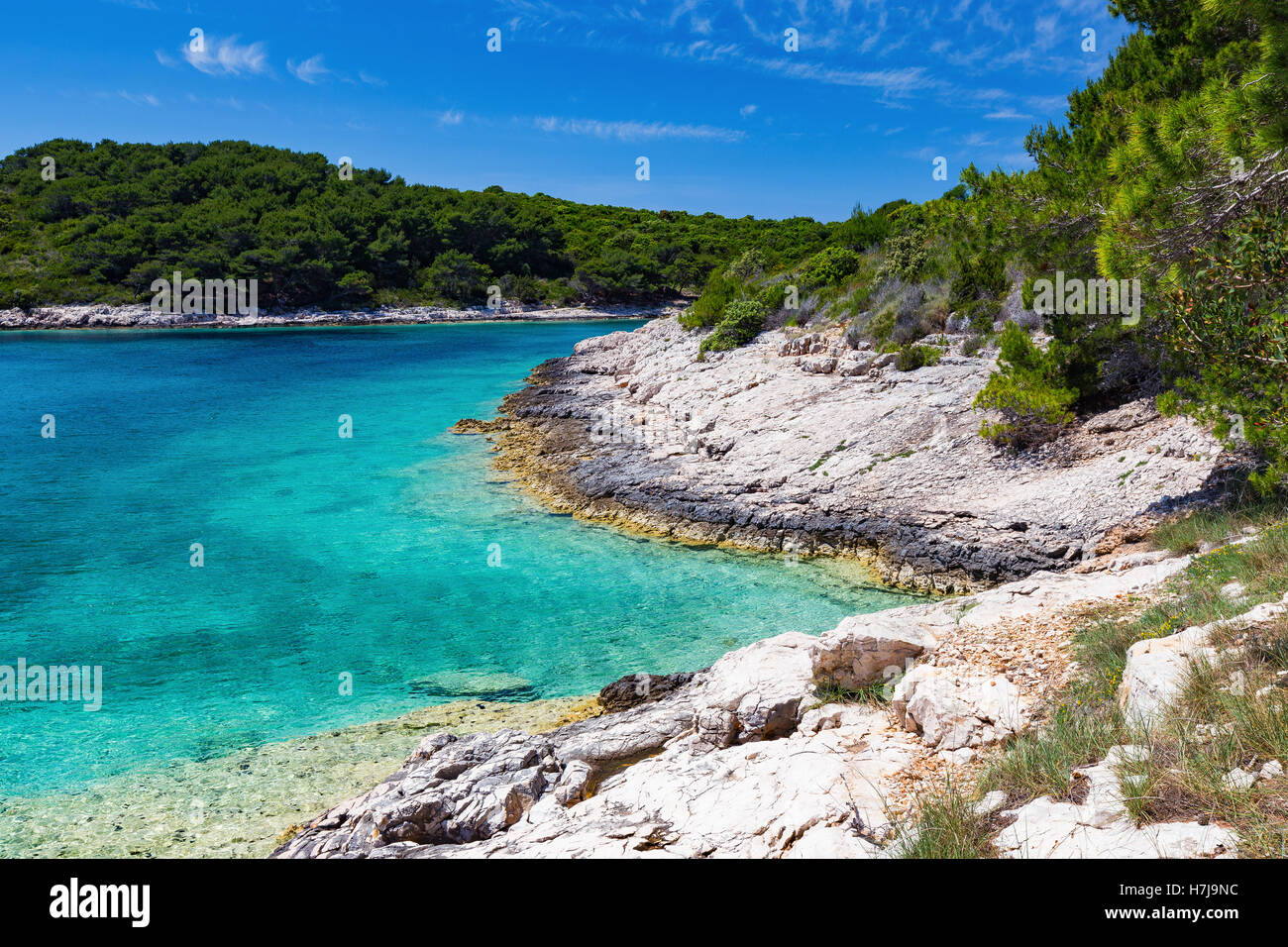 Felsige Küste einer Bucht auf den Pakleni-Inseln. Paklinski otoci. Transparentes adriatisches Meerwasser. Kroatien. Europa. Stockfoto