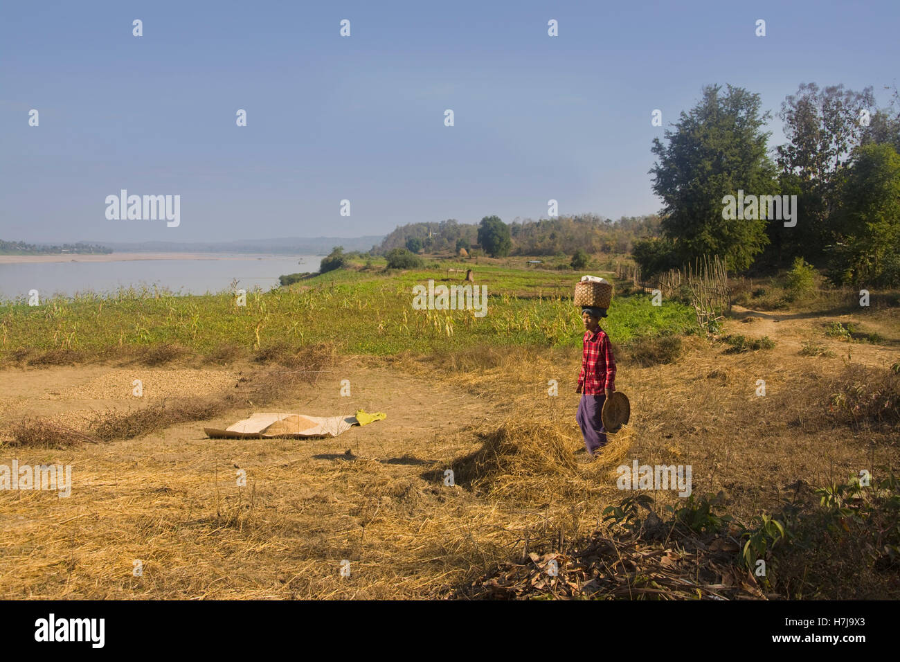 Asien, MYANMAR (BURMA), Sagaing Division, Kalywa, Chindwin Fluss, Taya Dorf, einheimische Frau neben dem Fluss Stockfoto