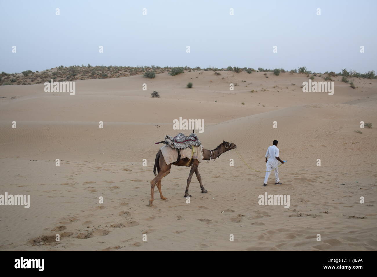 Inder Kerl mit seinem Kamel zu Fuß auf den Dünen in Thar-Wüste in der Nähe von Jaisalmer, Rajasthan, Indien Stockfoto