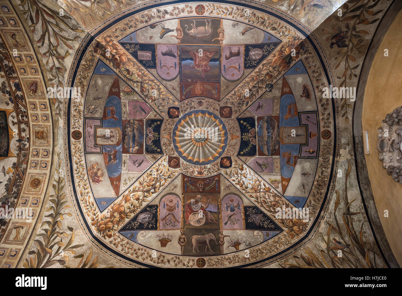 Deckenfresken in der Palazzo Chigi Saracini, Siena, Toskana, Italien Stockfoto