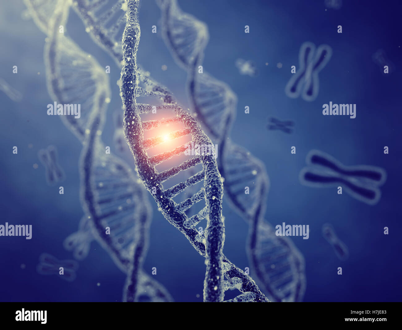 DNA-Doppelhelix Moleküle und Chromosomen, gen-Mutation, genetischen code Stockfoto