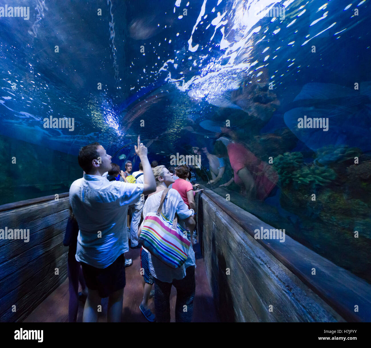 Malta National Aquarium, Qawra Buggiba. Gehen Sie durch Tunnel. Stockfoto