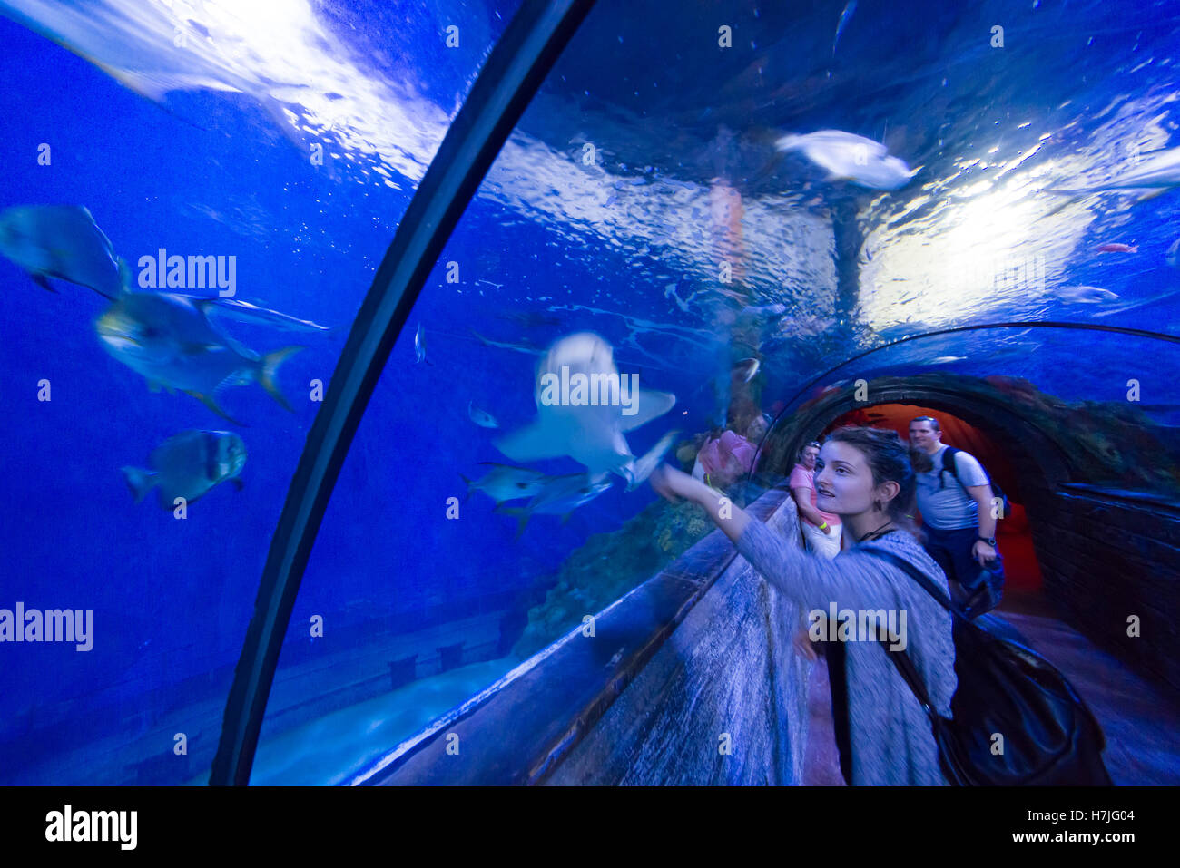 Malta National Aquarium, Qawra Buggiba. Gehen Sie durch Tunnel. Stockfoto