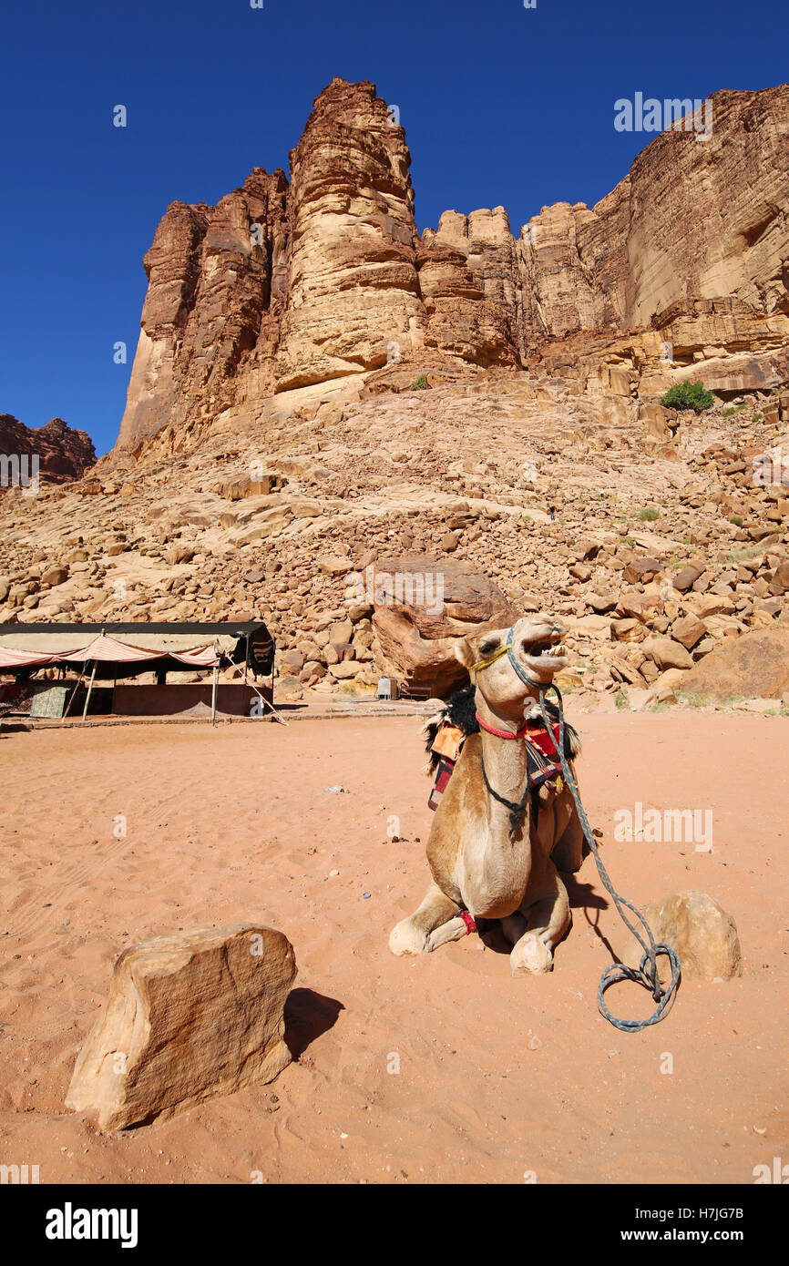 Felsformationen der Laurentius Frühling in der Wüste im Wadi Rum, Jordanien Stockfoto