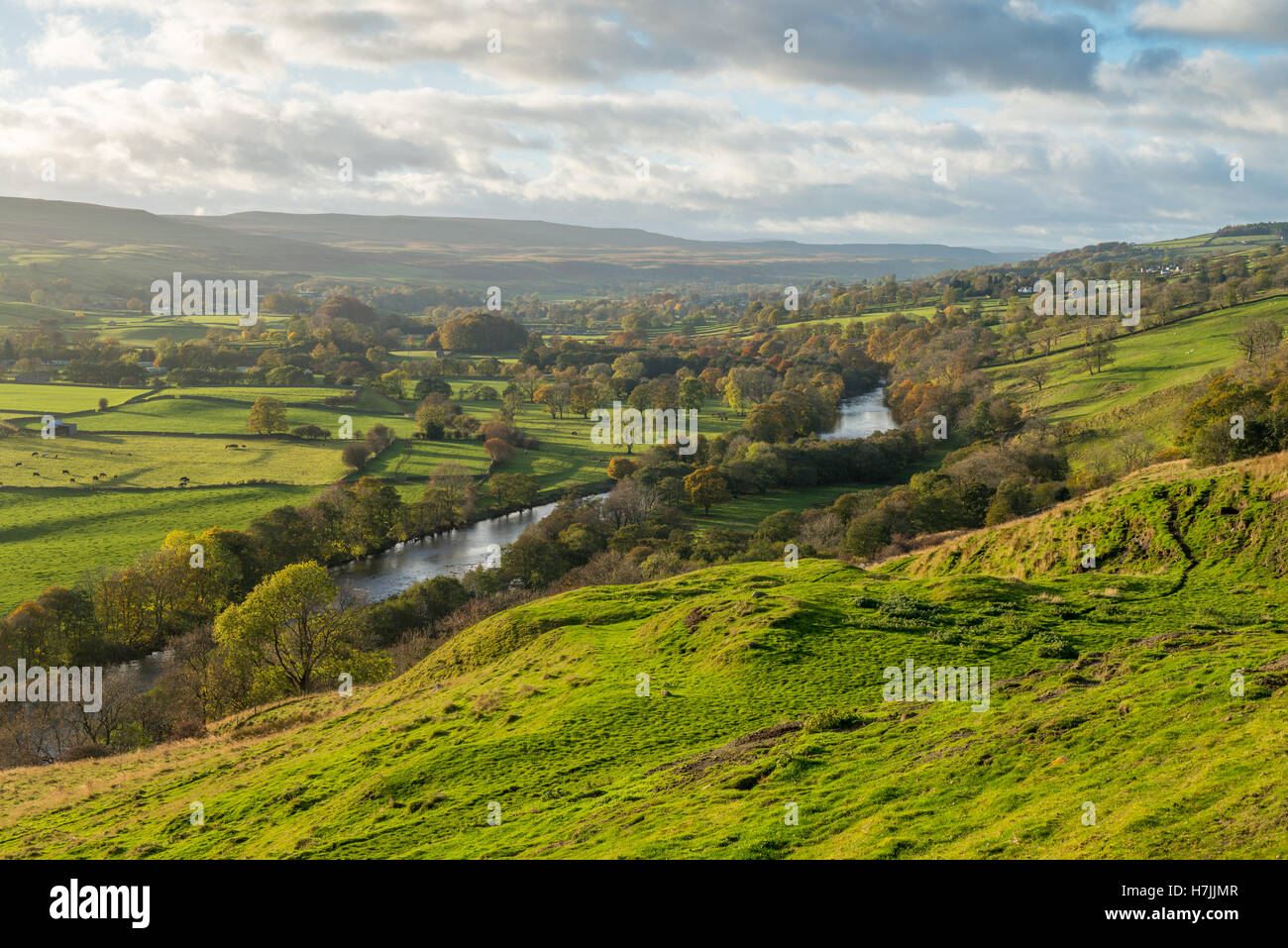 Der River Tees durch obere Teesdale in der Grafschaft Durham Stockfoto