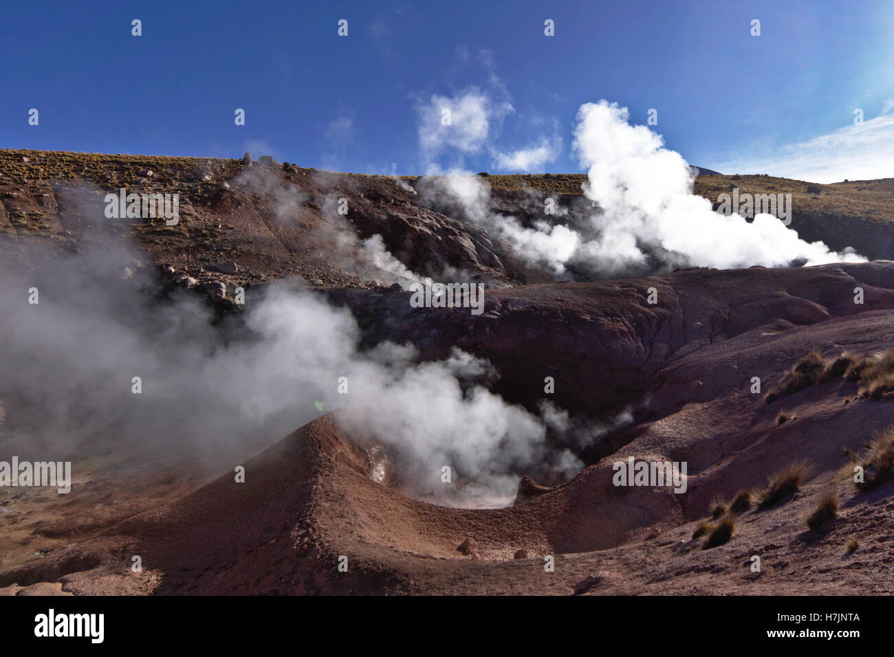 Geysire, die Ausweisung von Dampf in den frühen Morgenstunden Stockfoto