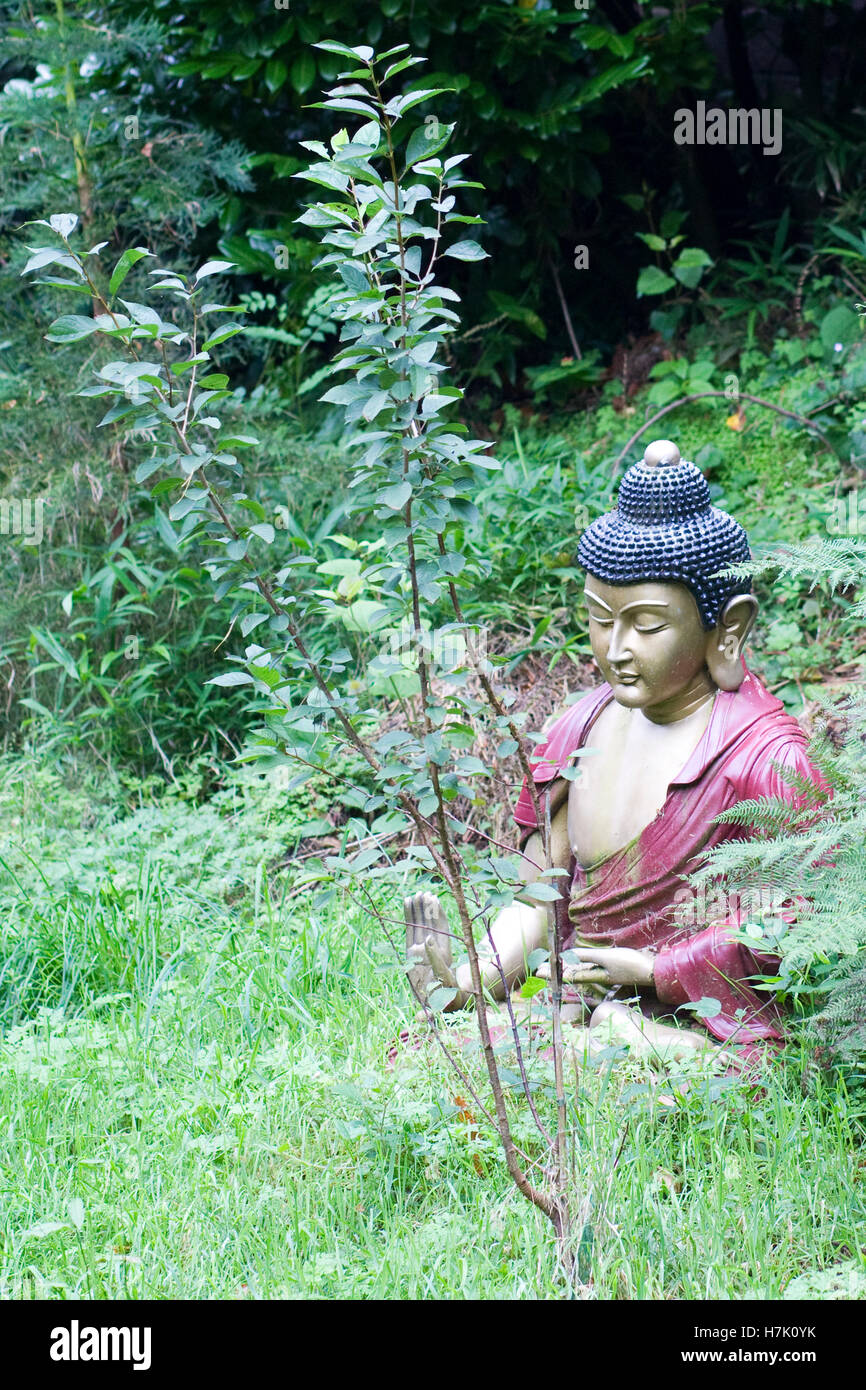 Statue von einem Thai Buddha meditierend in den Wäldern Stockfoto