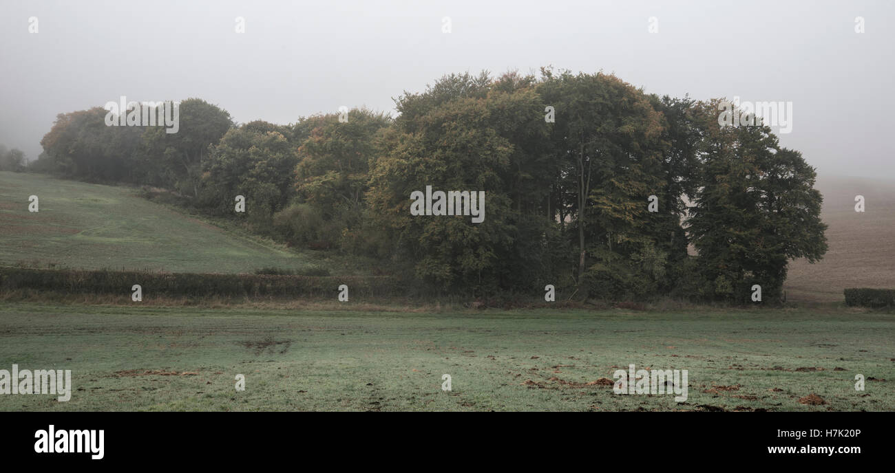 Foggy Herbstmorgen Landschaft in der britischen Landschaft Stockfoto