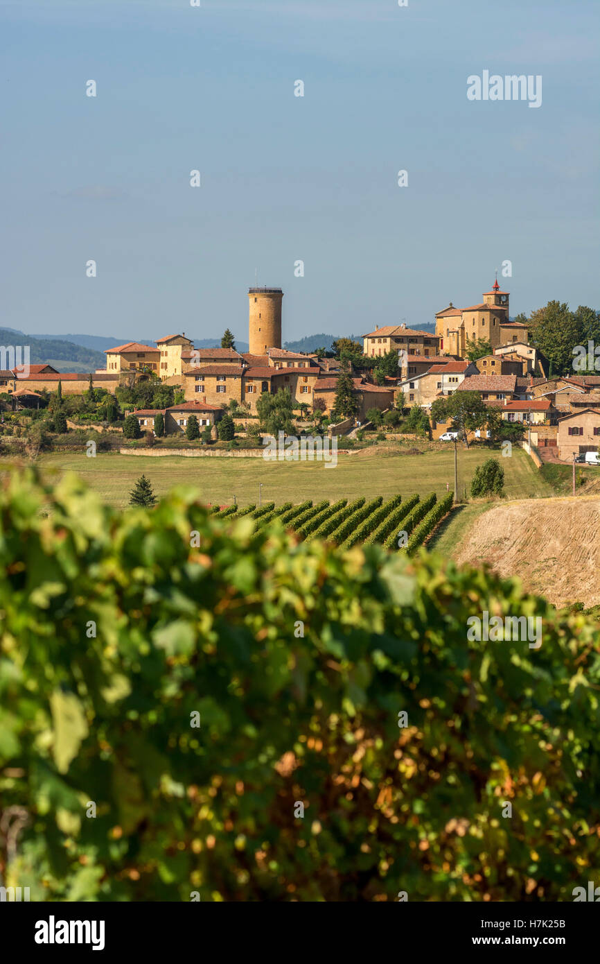 Oingt, das Dorf Pierres Dorées, das als die schönsten Dörfer Frankreichs bezeichnet wurde, Beaujolais, Rhone, Auvergne-Rhône-Alpes, Frankreich, Europa Stockfoto