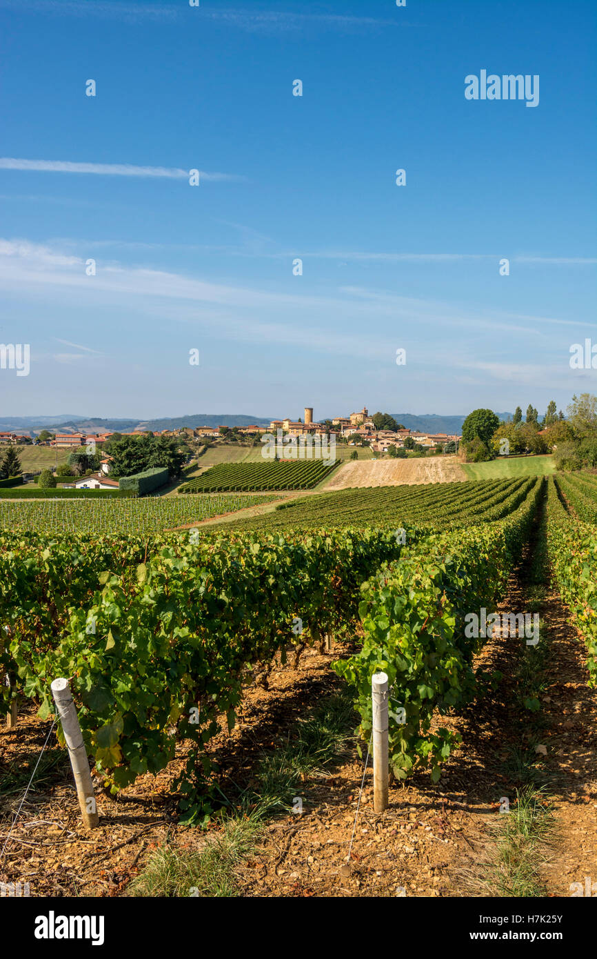 Oingt bezeichnete die schönsten Dörfer Frankreichs, das Departement Rhône, die Auvergne Rhone Alpes. Frankreich, Europa Stockfoto
