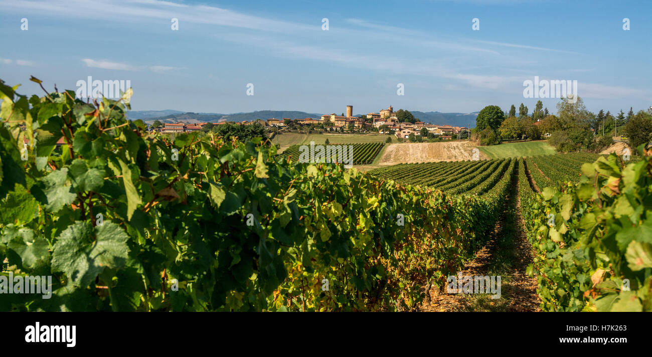 Oingt, das Dorf Pierres Dorées, das als die schönsten Dörfer Frankreichs bezeichnet wurde, Beaujolais, Rhone, Auvergne-Rhône-Alpes, Frankreich, Europa Stockfoto