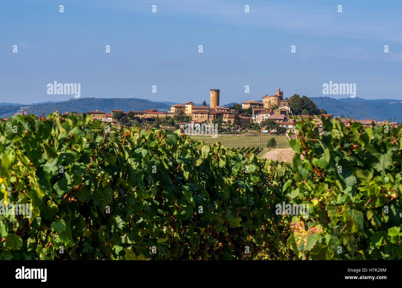 Oingt, das Dorf Pierres Dorées, das als die schönsten Dörfer Frankreichs bezeichnet wurde, Beaujolais, Rhone, Auvergne-Rhône-Alpes, Frankreich, Europa Stockfoto
