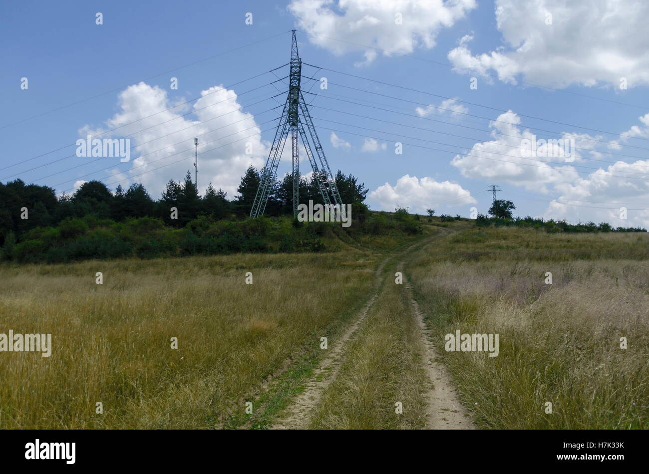 Strom-Übertragungsleitung voraus Sommer, Plana Berg, Bulgarien Stockfoto